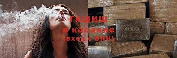 ПСИЛОЦИБИНОВЫЕ ГРИБЫ Заволжье
