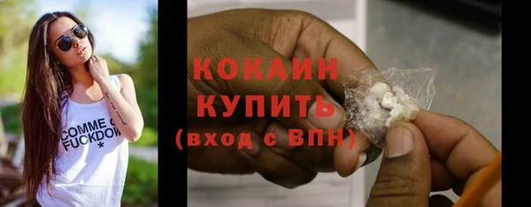 ПСИЛОЦИБИНОВЫЕ ГРИБЫ Заволжье