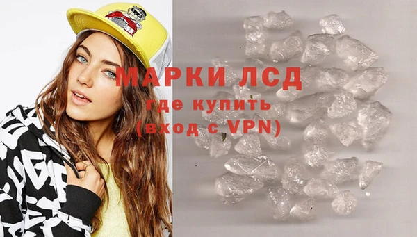 ПСИЛОЦИБИНОВЫЕ ГРИБЫ Заволжье