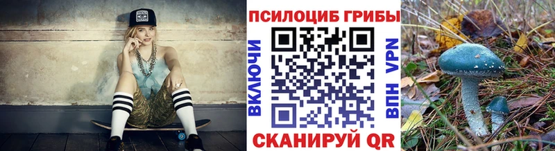 Галлюциногенные грибы ЛСД  Купить где  Грязовец 