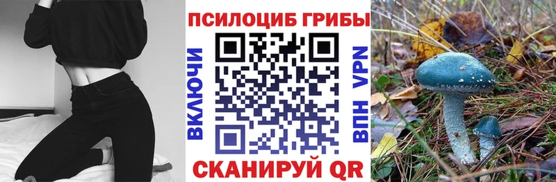 Псилоцибиновые грибы прущие грибы Грязовец